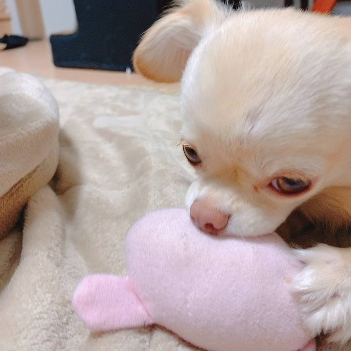 0fbb6c35 5987 48c4 abe2 6d7a7b5db71e 1619504332843