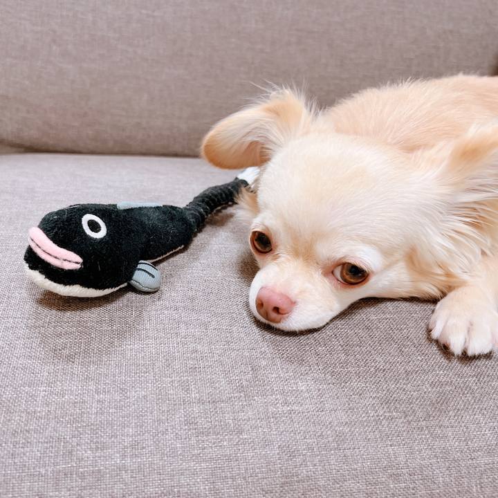 0fbb6cee 2833 4dae 9c06 e92661805da2 1657146685010