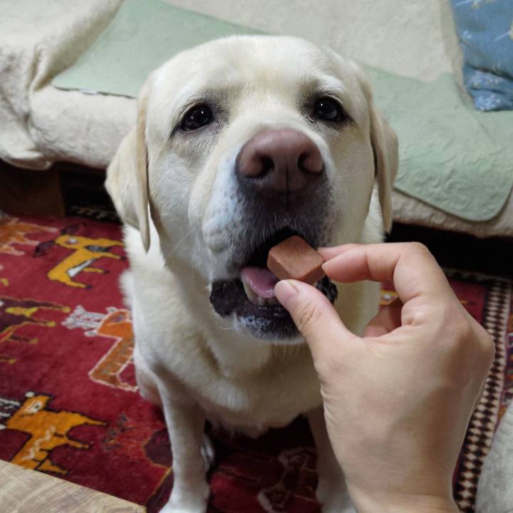 0fbbbd63 b6be 4e9a 89e6 fa0979350ced 1752652616935