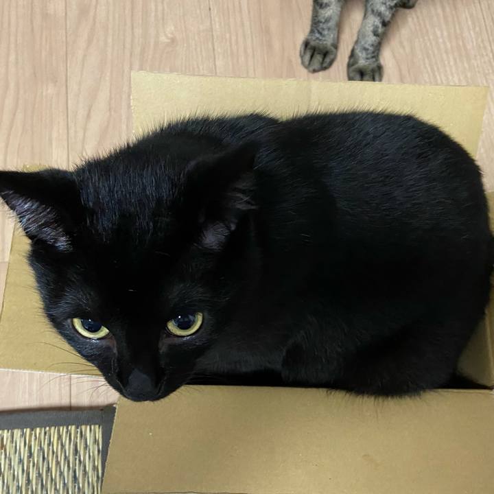 0fbbcb29 94eb 41bf ae10 29329caf1876 1629804900691