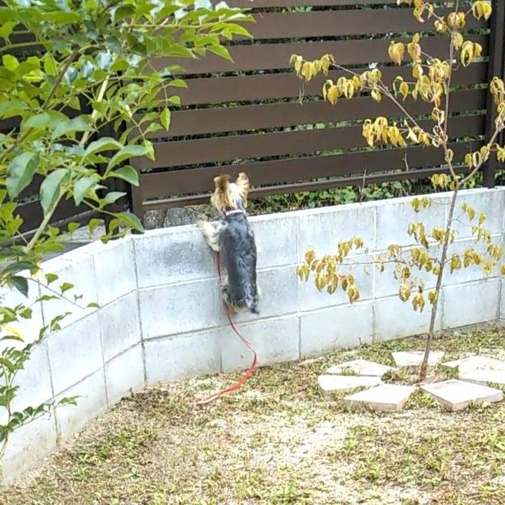 0fbbe243 8a5e 448e b614 9bdb01993214 1631511658119