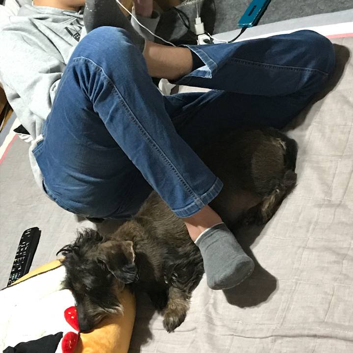 0fbc40b1 43ce 4c2c 9882 6ed39e4cd5c7 1517222892857