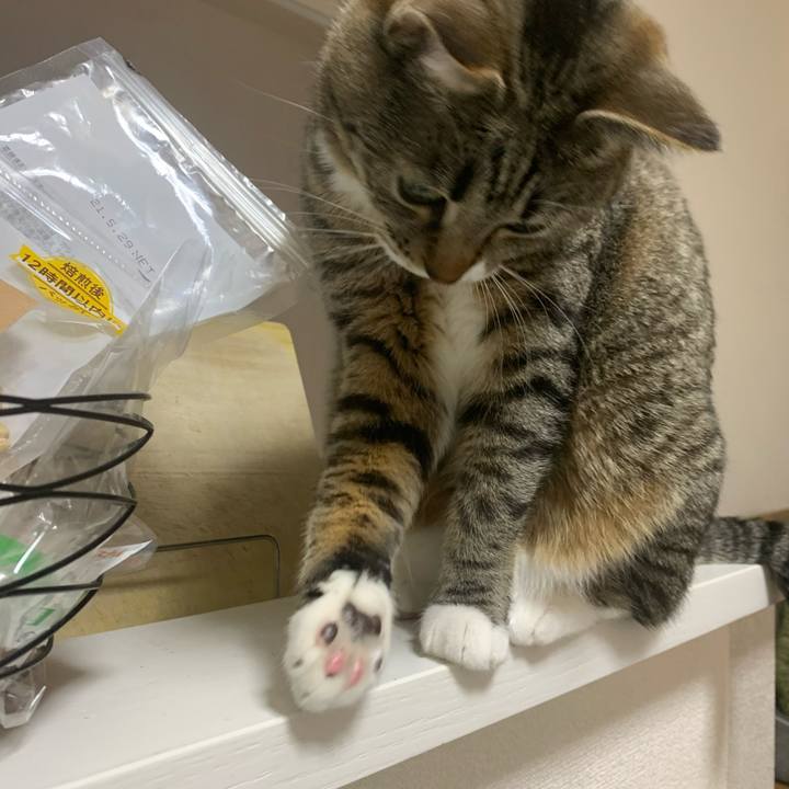 0fbc4af3 04d6 44d5 a072 dc996d64955b 1608818360470