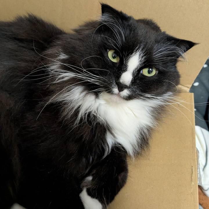 0fbc9e82 0a10 4a95 8531 cf39b763c015 1743681532376