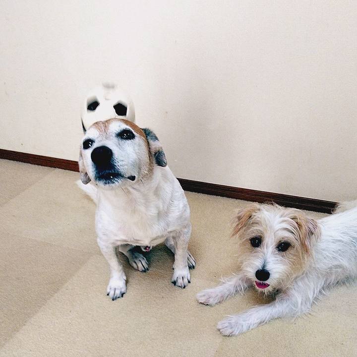 0fbd0402 868d 4557 92e8 d6653183bda5 1569741646422