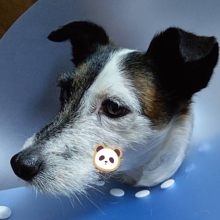 0fbd3c47 02ba 4454 a27b 2650caaaca7f 1669332347234