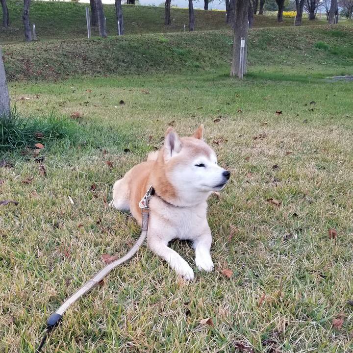 0fbd6829 da7e 4c2e 8f9d b3c5e8ba1487 1697701666795