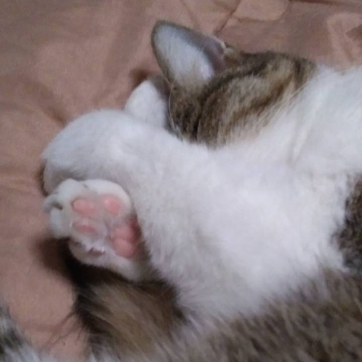 0fbd853d c14c 46da 9289 efd61538e0cd 1520079402837