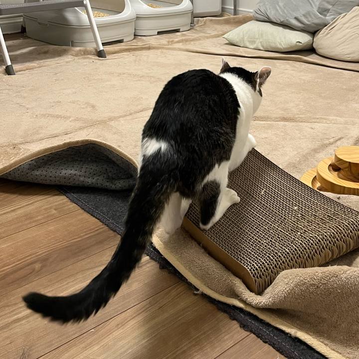 0fbd951c 6e05 4f1c ac0f c45e6eb8157c 1765012002655