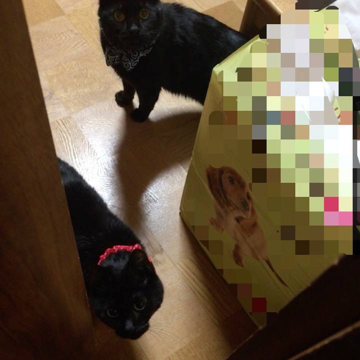 0fbdc3e8 2133 484b b483 365ef42d7a24 1550057429076