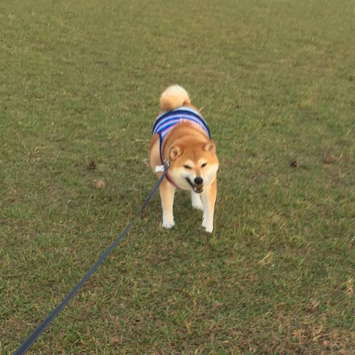 0fbdfa7e 46f3 4e02 a45e 4659bf5b81b2 1539074336393