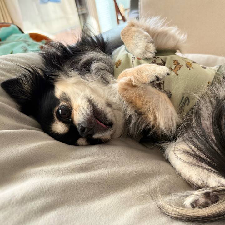 0fbe049e 105d 44ce 9dc5 ac3b659ff366 1763097229397