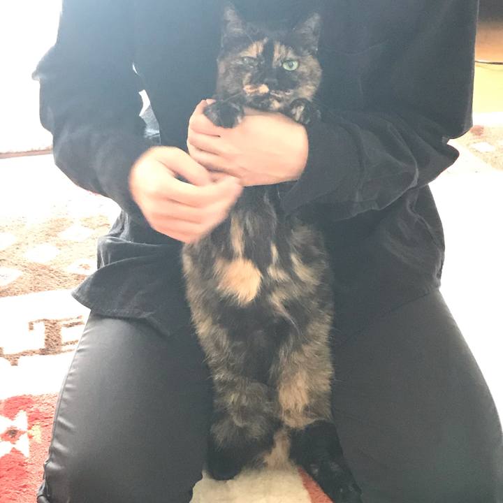 0fbe2503 d804 481f 8c1e 0cff7fd532b6 1588413439856