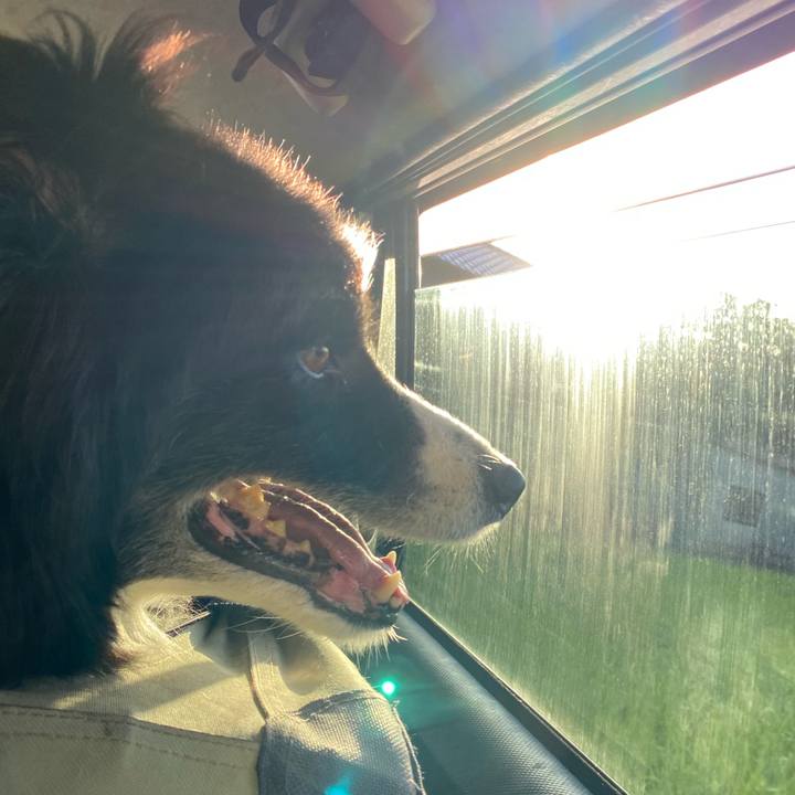 0fbe305f e9d6 403e 9a79 02d9c09cd1de 1663279478150