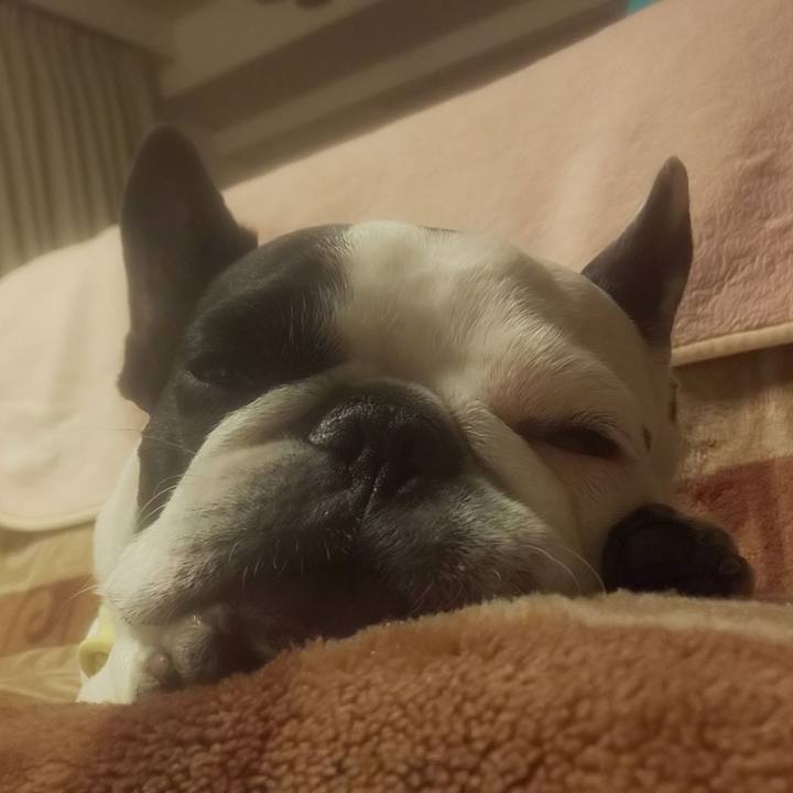 0fbe5aa5 87bf 43f7 b707 cb5b91c4e997 1580647561663