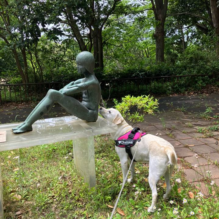 0fbe6220 871a 48e6 ae43 9318115a9632 1684141287325