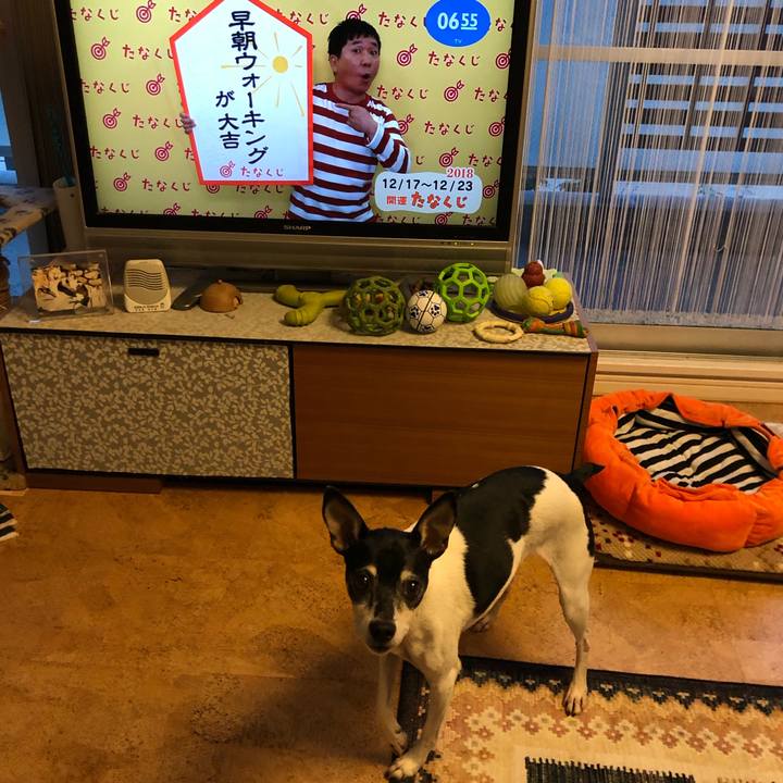 0fbeab53 9da4 4d24 8552 eaa29b2a4bee 1545002506256