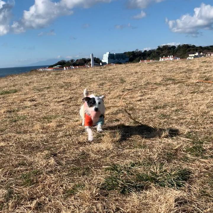 0fbecc55 8b16 42dd 8f9a feceb515edb0 1738804576335