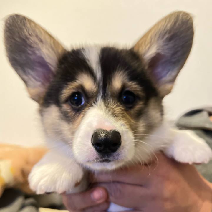 0fbf0d3a 34c9 45e7 ba61 47e58d847851 1768210910476