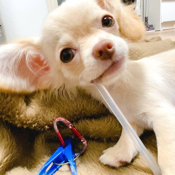 0fbf7263 91d0 4293 9679 340e7eee8421 1592102309231