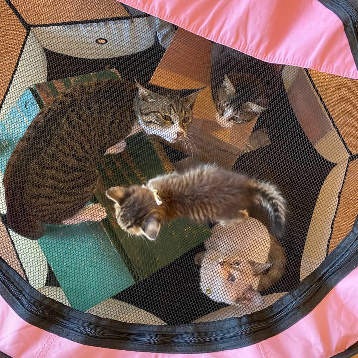 0fbf7bf7 4d10 439f be7c 6f3dd21fdd2c 1634629079721