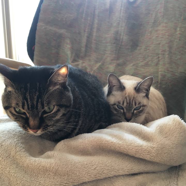 0fbf7e81 559c 43e6 9df2 7edb21ea83cc 1545697204326