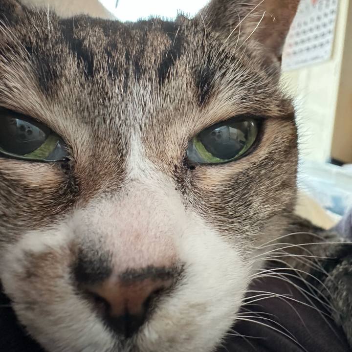 0fbf8d64 abe7 4bfd be5c 6951253642ef 1671241582217