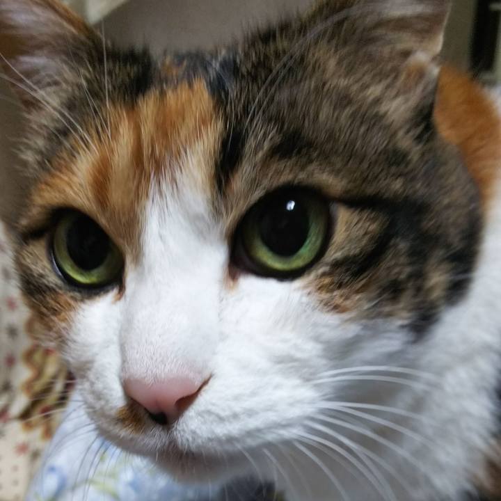 0fbf973f d303 4026 b553 6e3a22eb1cda 1554069069285