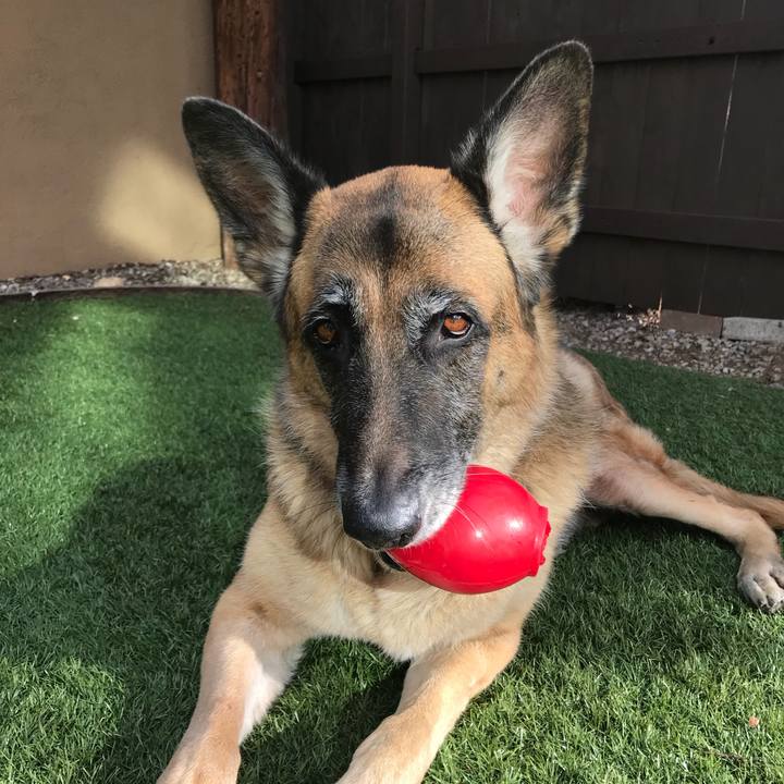 0fbfb604 fdad 4494 b377 f4748888e3d8 1515199973832