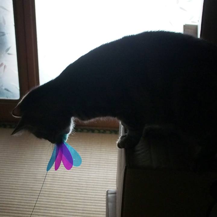 0fbfd26e 11ae 453b 899b a2a6af21ebd9 1527497685467