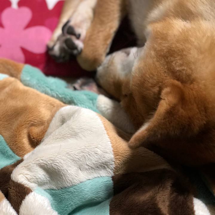 0fc00083 c833 4516 b9ae 332b5afeabc1 1512399108588