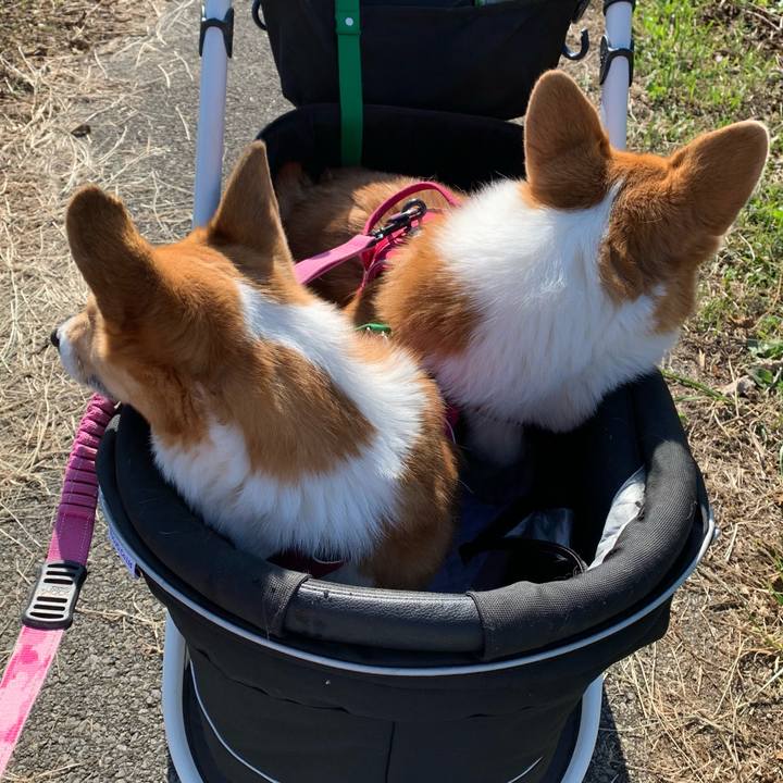 0fc00570 bbf5 45a3 859d 5b10b44c0060 1637117723371