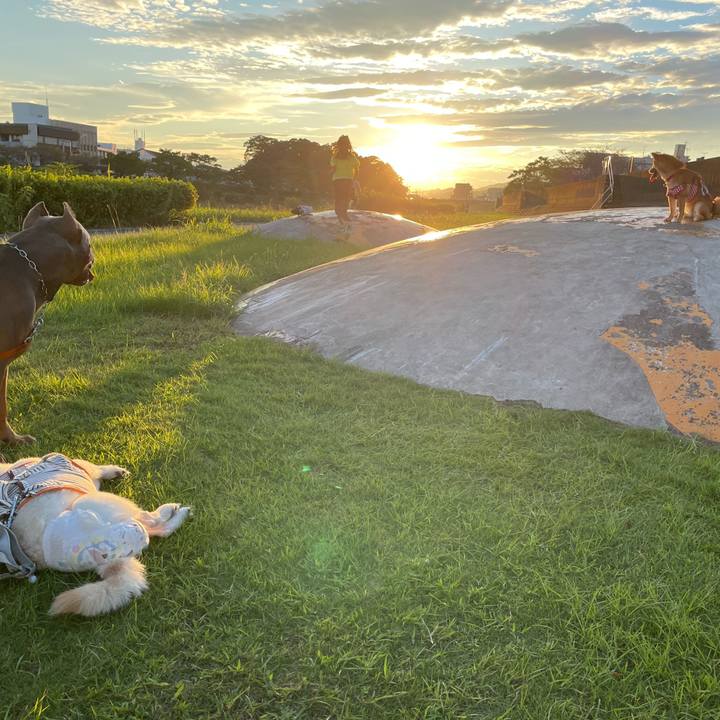 0fc0088f 0850 45f0 93ba 71d403647c09 1663932965726