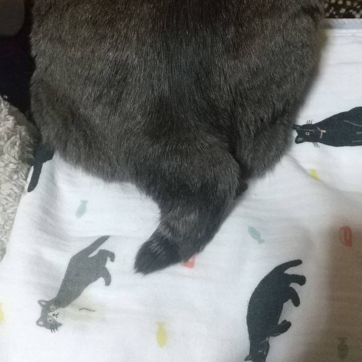 0fc06b4a 8ba8 4399 8f20 ff994e9e095d 1612793207162