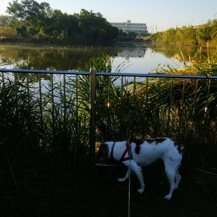 0fc091f2 dfbf 445d 9bbc 956dc2d8647d 1540513702875