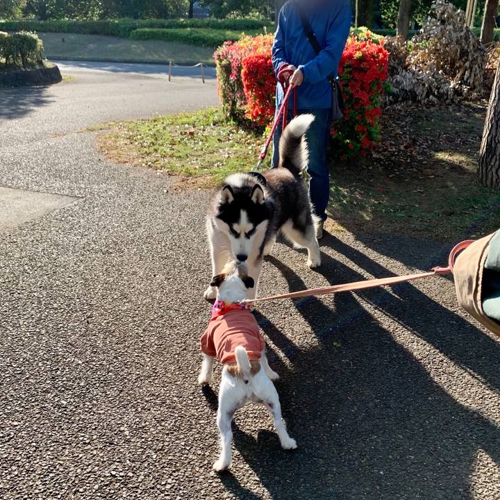 0fc0a6e2 4b8f 4f9e a359 b15a5174f02d 1681051475840