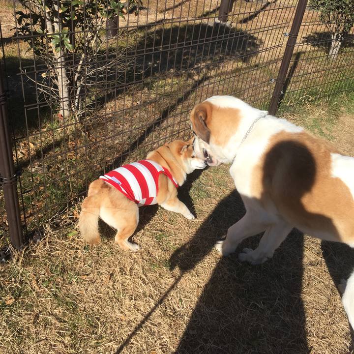 0fc0aaf2 3cb3 4c85 81aa cdd50a3ca12f 1548571722428