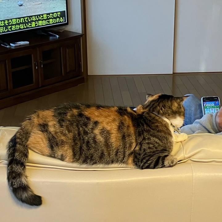 0fc0c4c3 9083 4fa0 ad65 32e923efff33 1765064308785