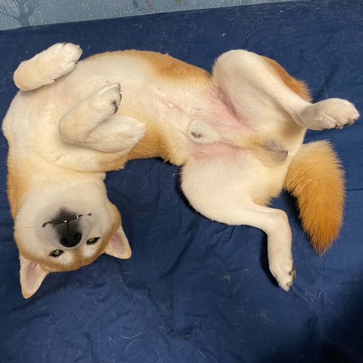 0fc0fcba 326f 4bf0 9191 7ccd627dd921 1650981875672