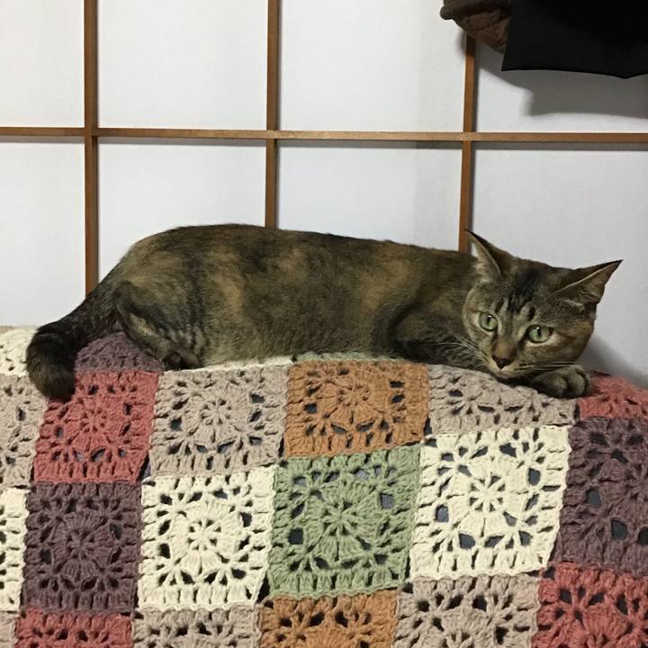 0fc0fe8d 9633 4c19 a59f a6787cbcedaf 1594459712408