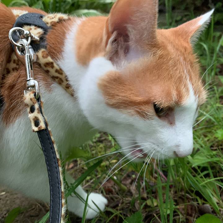 0fc10a78 736d 4360 92e3 e23783261186 1594550824174