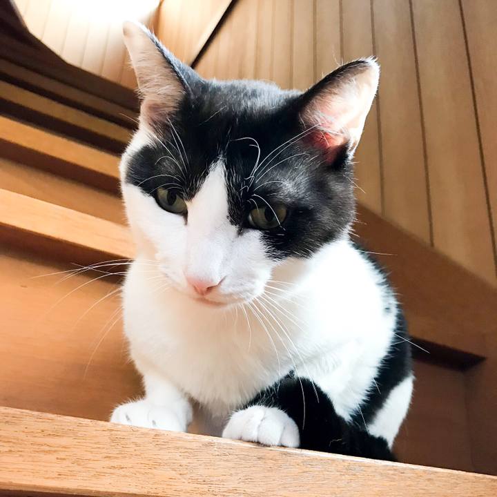 0fc1152b b058 4f07 8eea 7ed673df9ea7 1530409843571