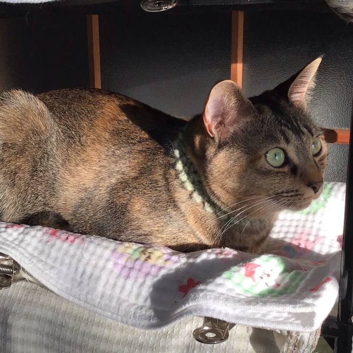 0fc155d1 0527 4895 a7d2 7e56dea2d322 1643758374062