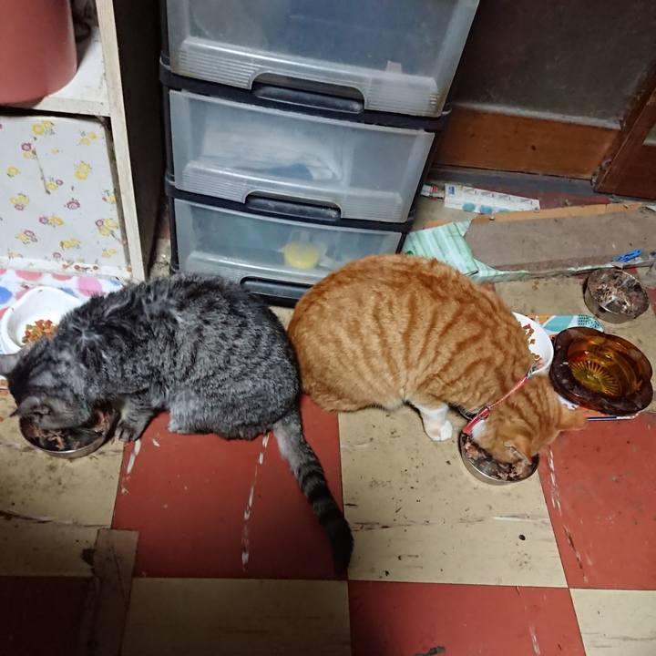 0fc16d10 2f07 4995 961d 9359d94206d7 1576359684179