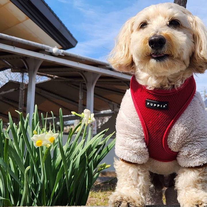 0fc16f7f f801 46bc a87c b1e1b04f1081 1771153645997