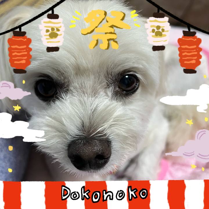 0fc18733 2887 4720 8748 59d5746ee1dd 1723289418027