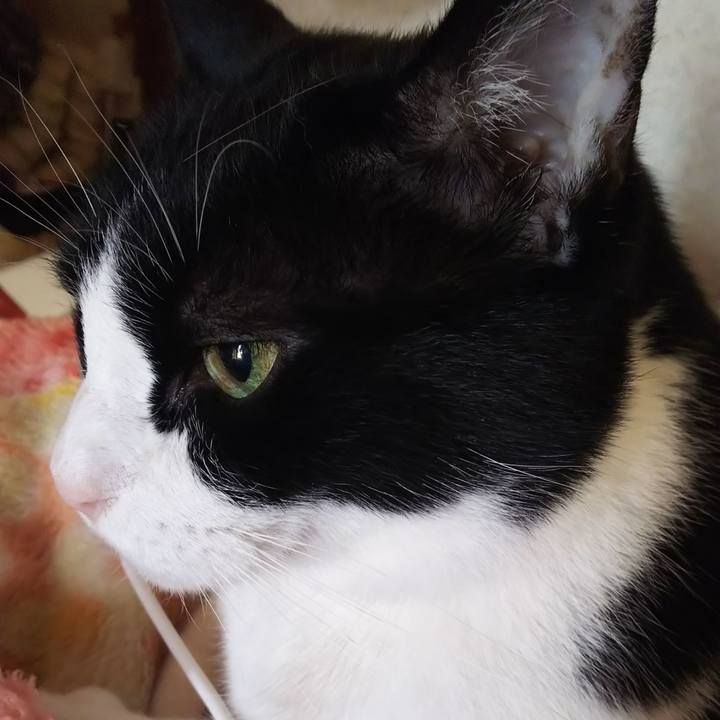 0fc18d30 b4b7 4920 a434 b8a0abf54f6e 1582506407802