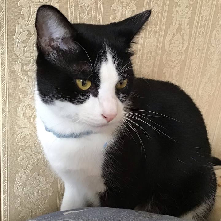 0fc1b6b3 f071 4693 9053 f59104b80dac 1666056493517