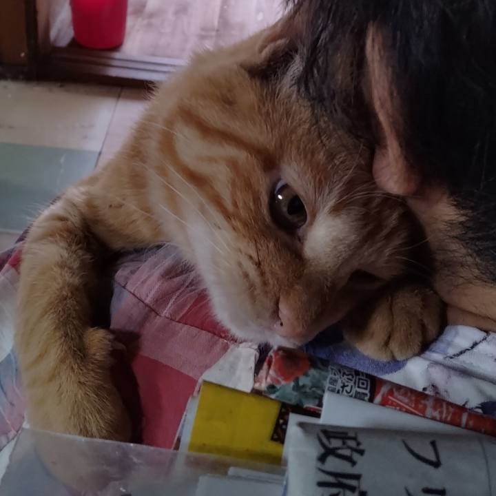 0fc1e717 1a17 459e 8e53 ffae6e3f6a5f 1663645462482