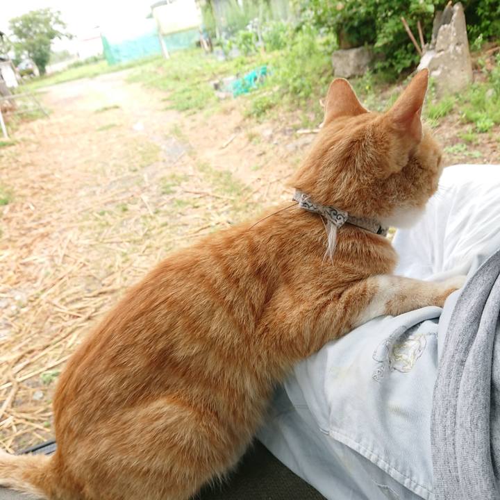 0fc1e759 0277 4e2a ae94 cdff4607ae47 1593311640768